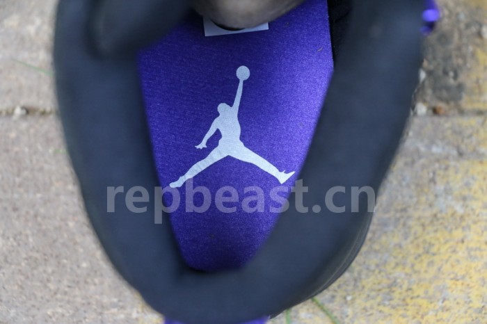 Authentic Air Jordan 12 “Dark Concord”