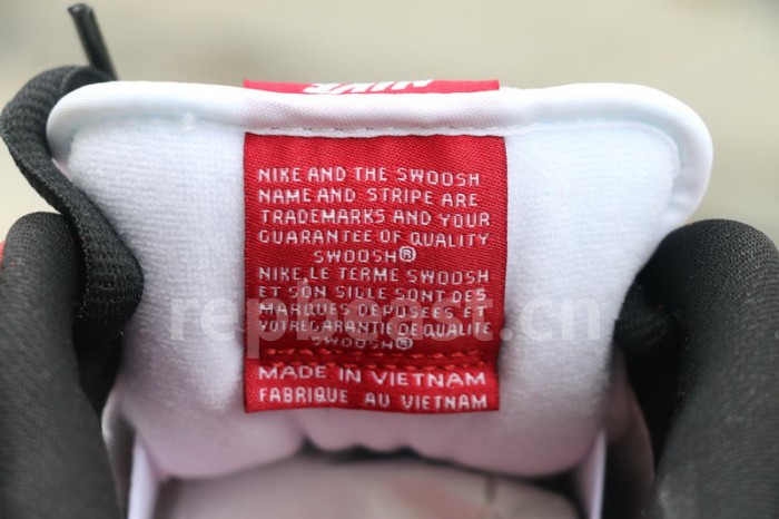 Authentic Nike Dunk SB Low “Chicago”