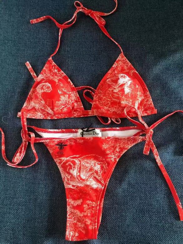 Dior Bikini-119