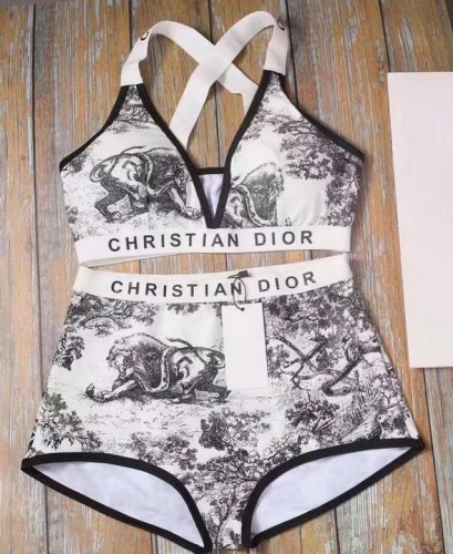 Dior Bikini-007
