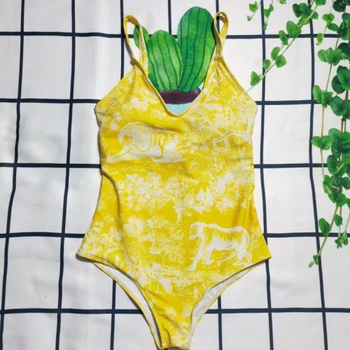Dior Bikini-120