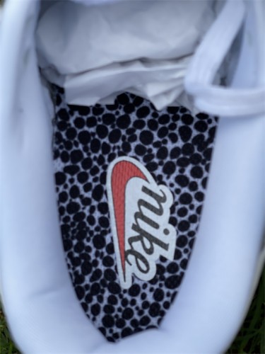 Authentic Nike Dunk Low “Metallic”