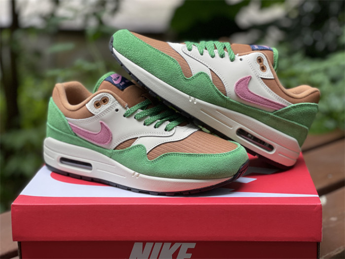 Authentic Nike Air Max 1 “Treeline”