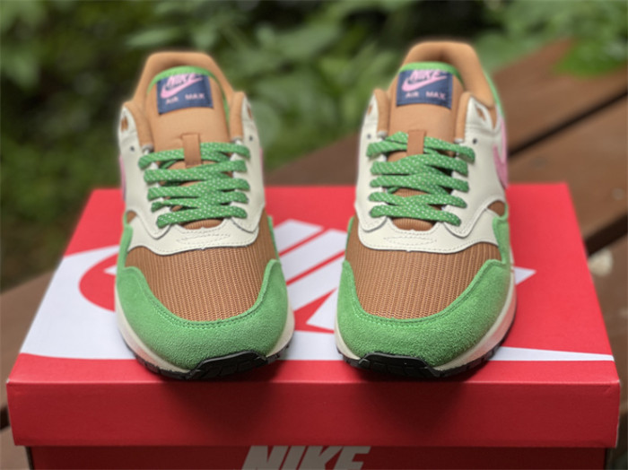 Authentic Nike Air Max 1 “Treeline”