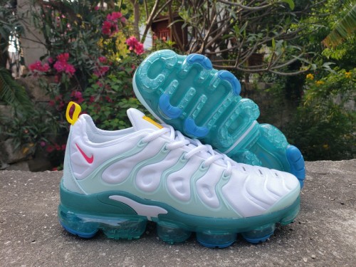 Nike Air Max TN Plus men shoes-1617