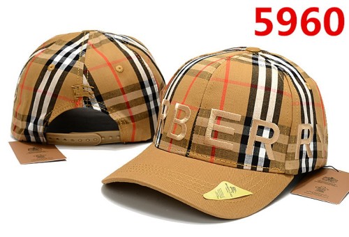 Burberry Hats-080