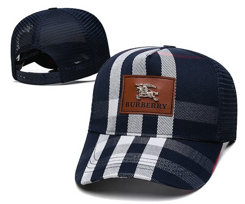 Burberry Hats-031