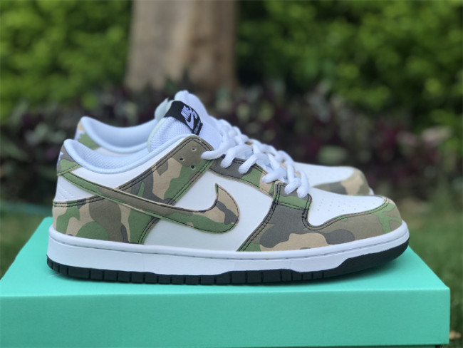 Authentic Nike SB Dunk Low Camo