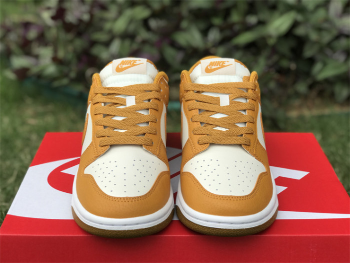 Authentic Nike Dunk Low Next Nature “Phantom”