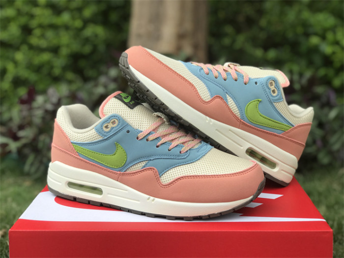 Authentic Nike Air Max 1 “Light Madder Root”