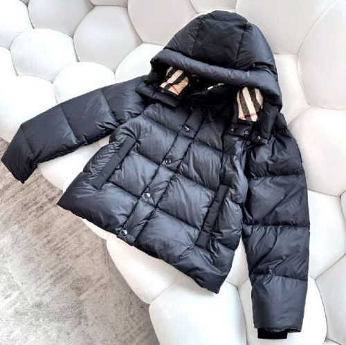 Burberry Down Coat men-312(S-XL)
