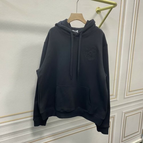 Dior Hoodies High End Quality-146