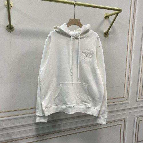 Dior Hoodies High End Quality-147