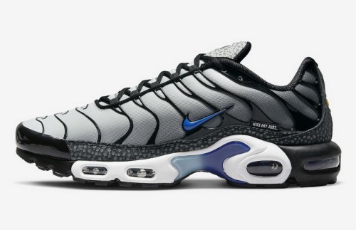 Nike Air Max TN Plus men shoes-1680