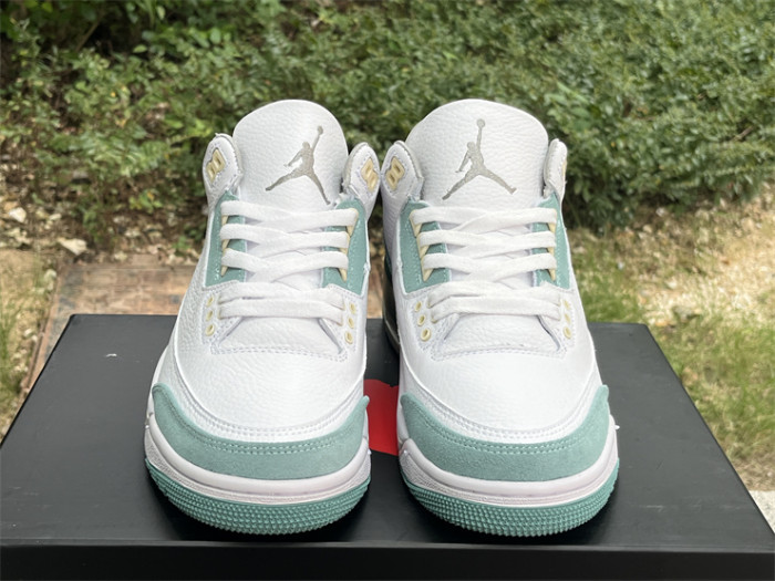Super Max Perfect Jordan 3 shoes-025