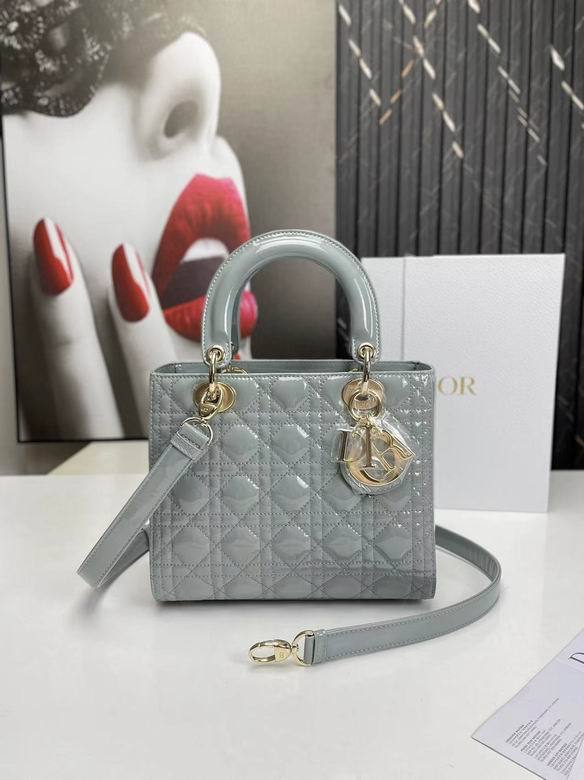 Dior Handbags AAA-198