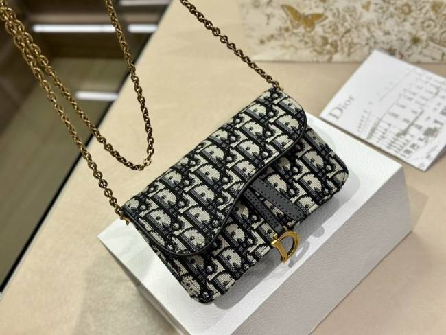 Dior Handbags AAA-010