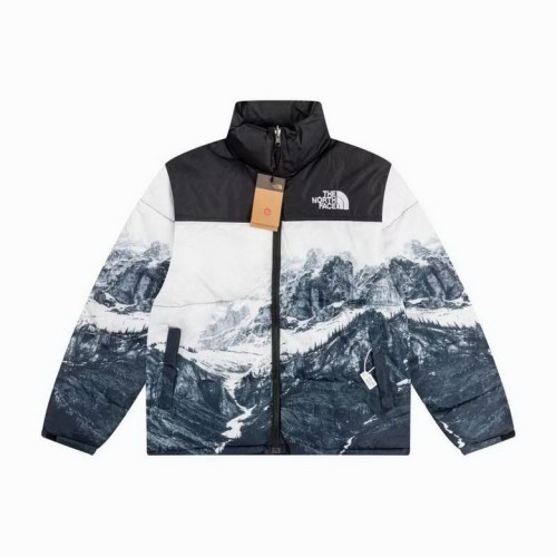 The North Face Down Coat-074 (M-XXL)