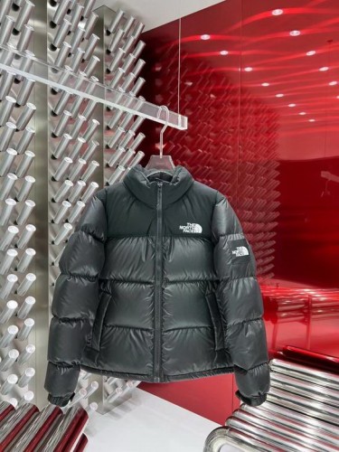 The North Face Down Coat-123 (XS-XXL)