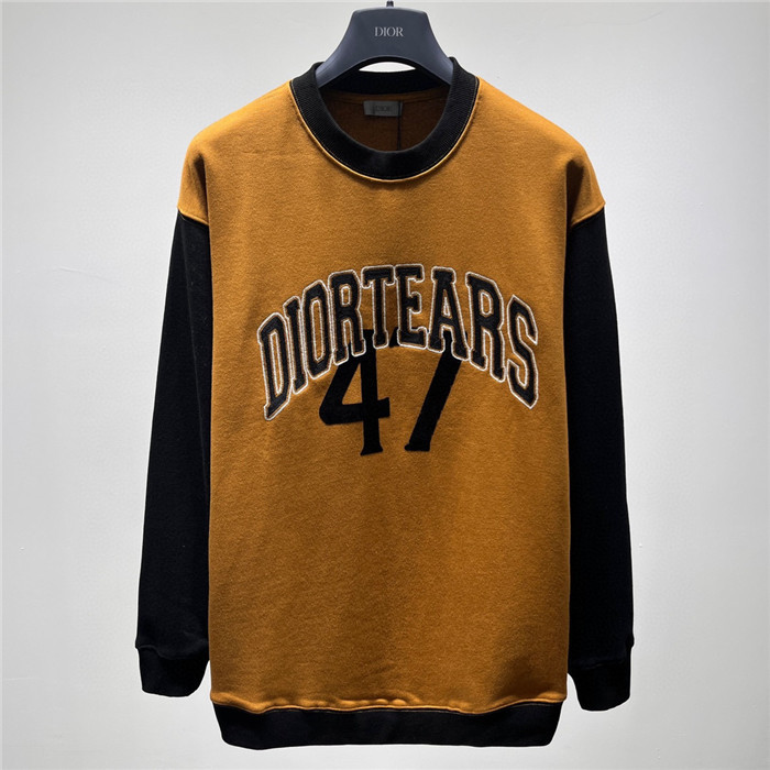 Dior Hoodies High End Quality-169