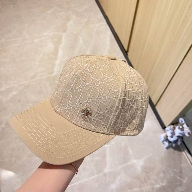 Dior Hats AAA-891