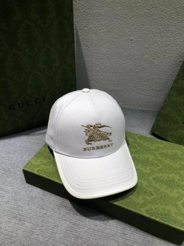 Burrerry Hats AAA-575