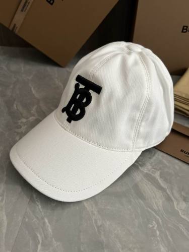 Burrerry Hats AAA-496