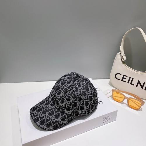 Dior Hats AAA-850