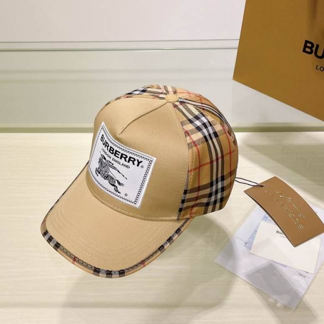 Burrerry Hats AAA-647