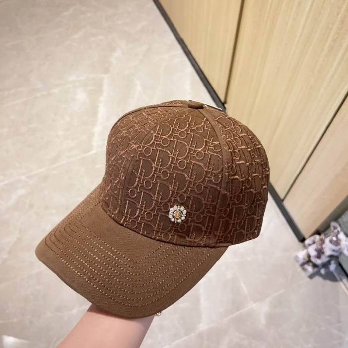 Dior Hats AAA-895
