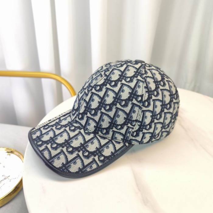Dior Hats AAA-870