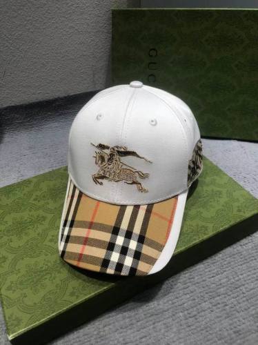 Burrerry Hats AAA-658