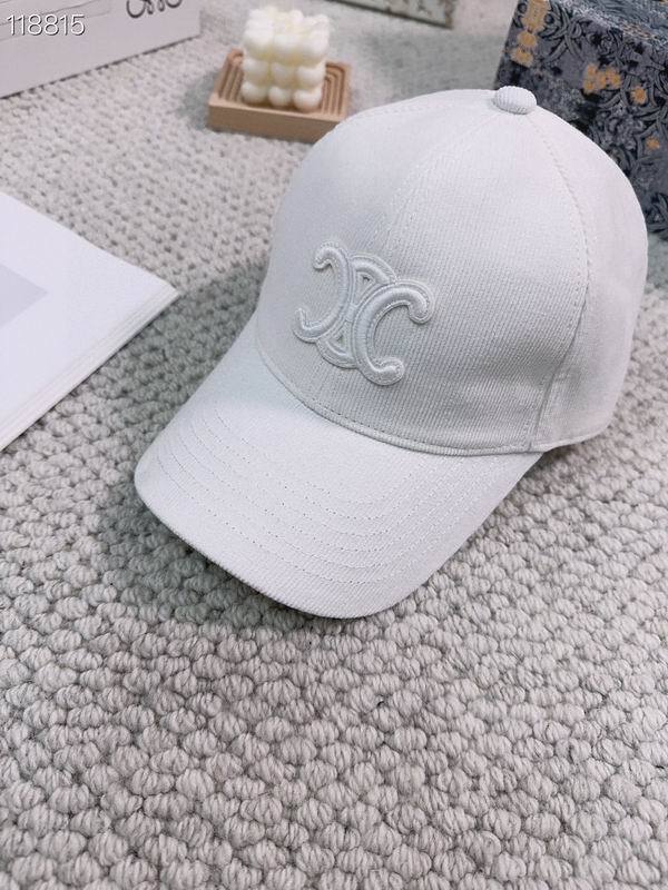 Celine Hats AAA-378