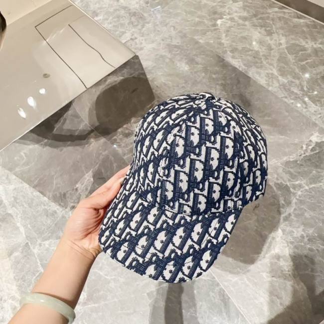Dior Hats AAA-1053