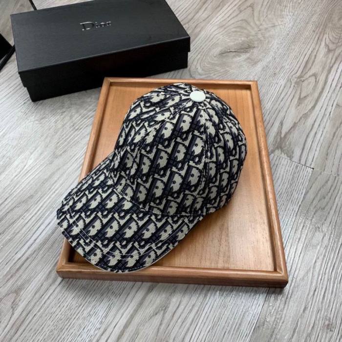 Dior Hats AAA-931