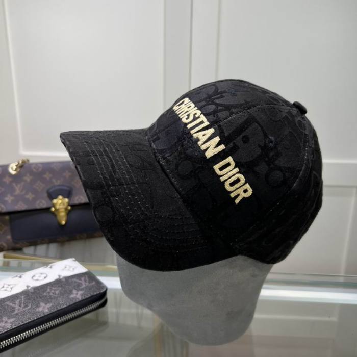 Dior Hats AAA-960