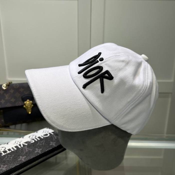 Dior Hats AAA-1015