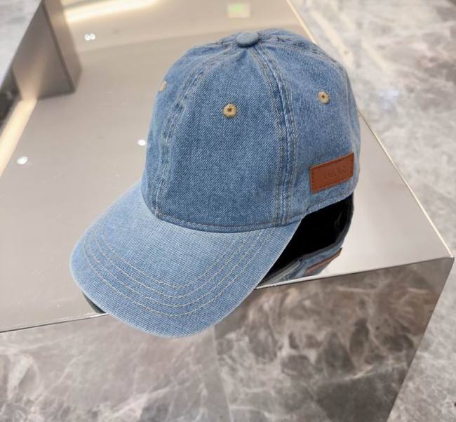 Dior Hats AAA-1127