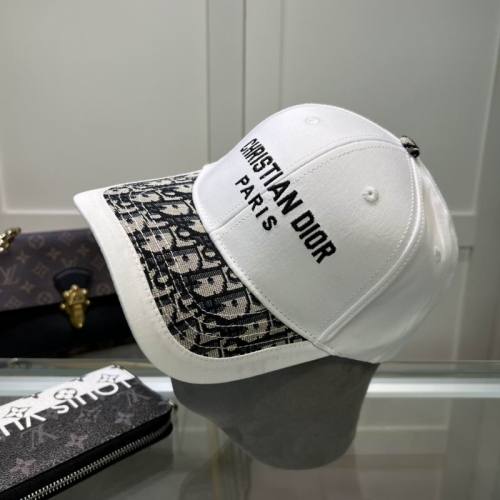 Dior Hats AAA-1067