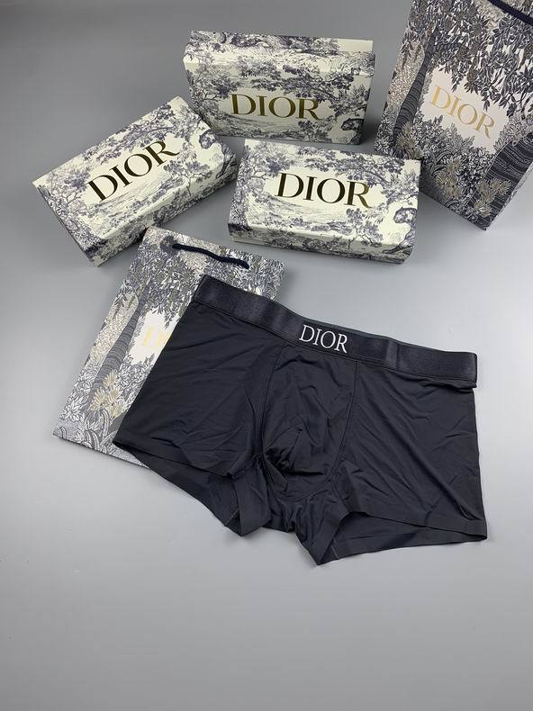 Dior underwear-001(L-XXXL)