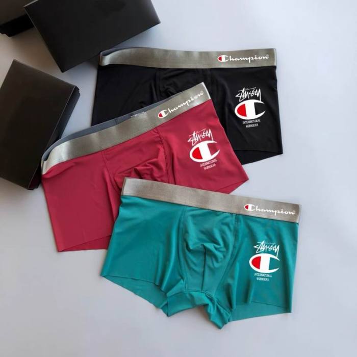 Champion underwear-021(L-XXXL)