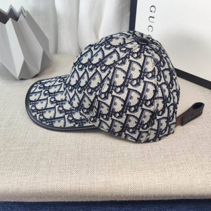 Dior Hats AAA-1187