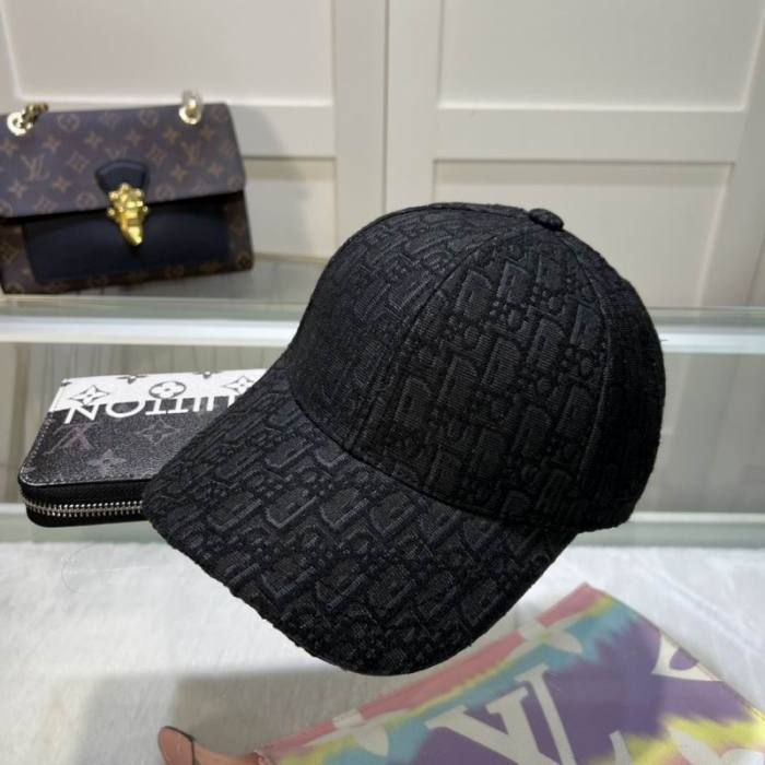 Dior Hats AAA-1152