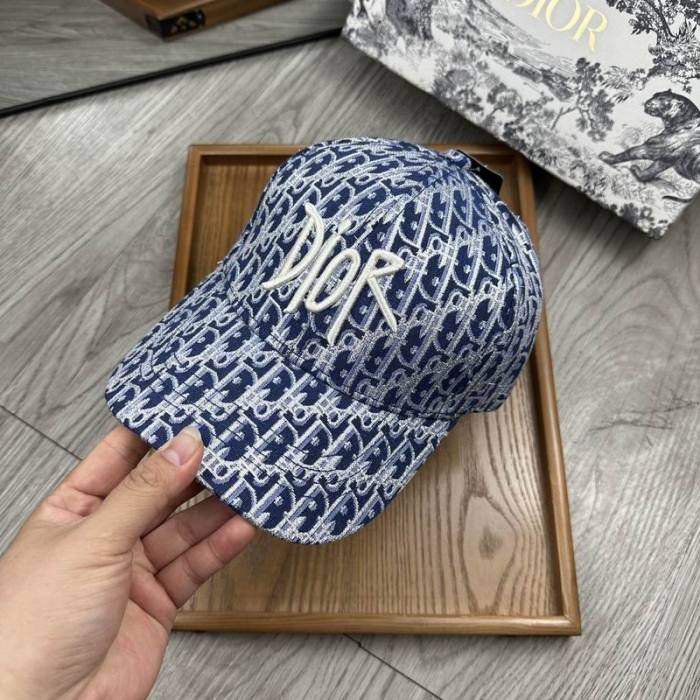 Dior Hats AAA-1143
