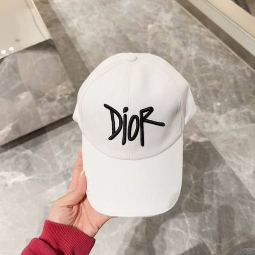 Dior Hats AAA-1190