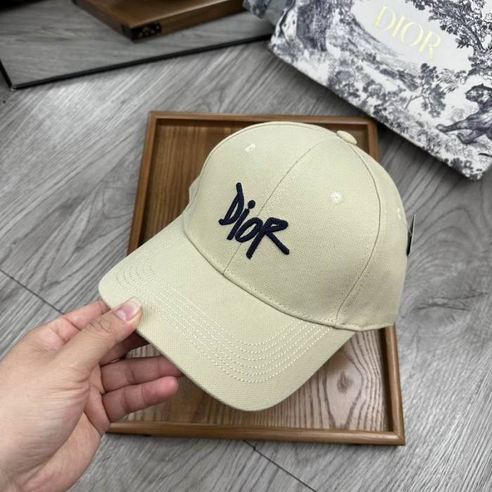 Dior Hats AAA-1141