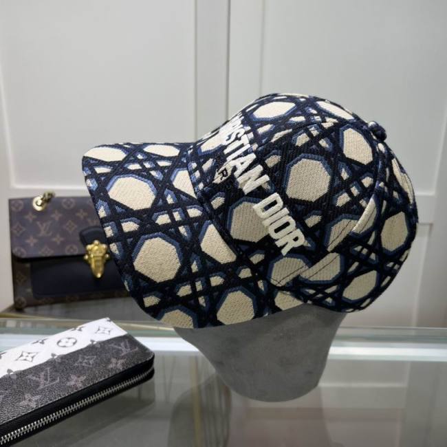 Dior Hats AAA-1193