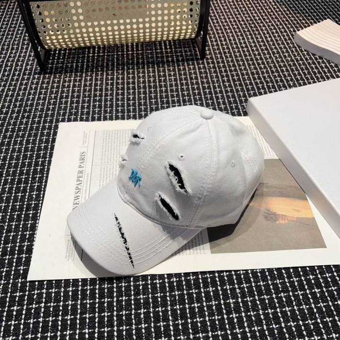 Dior Hats AAA-1228
