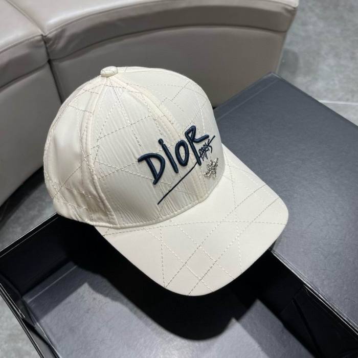 Dior Hats AAA-1270