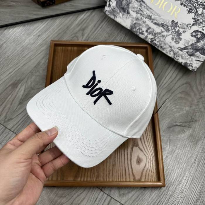 Dior Hats AAA-1139